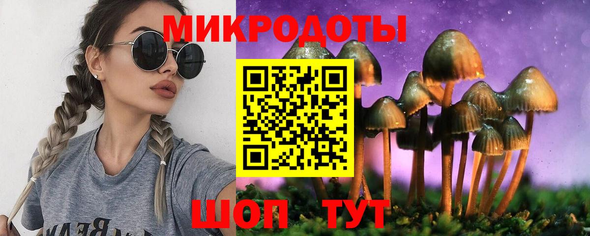Губкин  сколько стоит  Вход с VPN  Псилоцибиновые грибы Psilocybe  Галлюциногенные грибы прущие грибы 